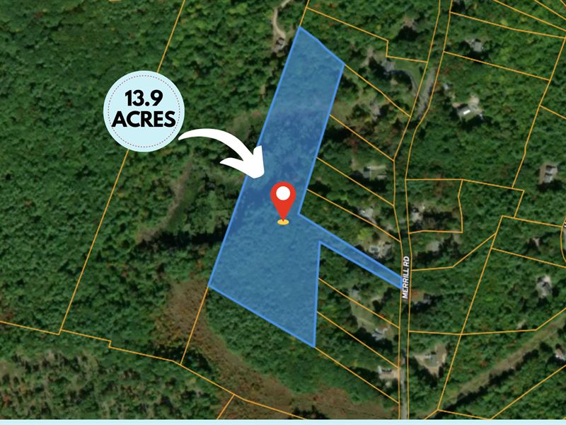 Pond and Beaver Dam : Candia : Rockingham County : New Hampshire