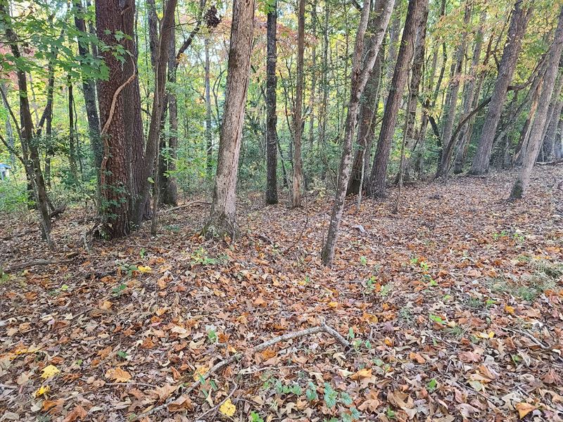 Forest Dale Road Lot : Slater-Marietta : Pickens County : South Carolina