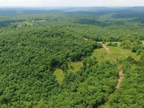 Owner Financed Acreage in MO : Ava : Douglas County : Missouri