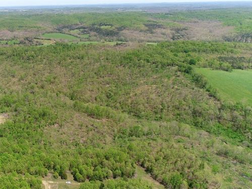 Owner Financed Acreage in MO : Ava : Douglas County : Missouri