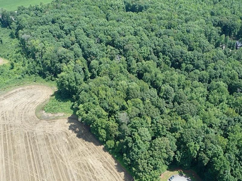 3.79 Acres Off Torrington Drive : Mount Ulla : Rowan County : North Carolina