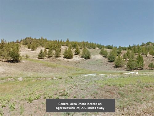 2.50 Acres in Siskiyou County, CA : Hornbrook : Siskiyou County : California