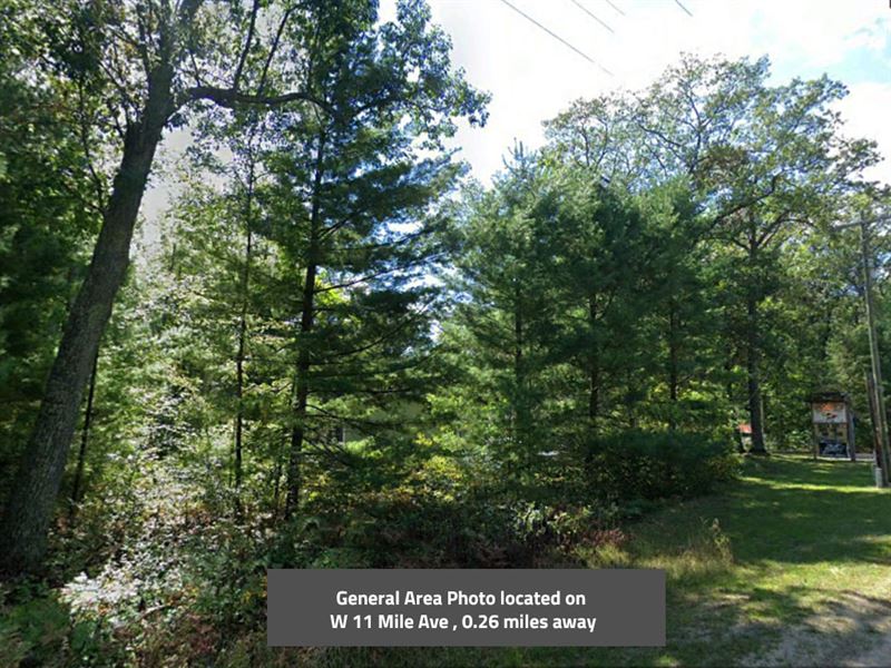 .70 Acre in Newaygo County, MI : Merrill Township : Newaygo County : Michigan