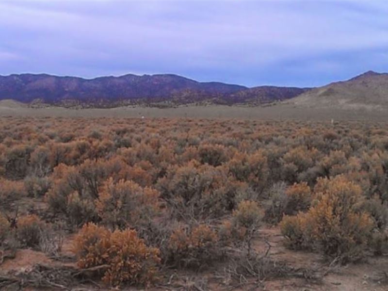 2 Beautiful Acres : Beryl Junction : Iron County : Utah