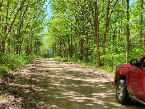 Owner Financed Acreage in MO : Camdenton : Hickory County : Missouri