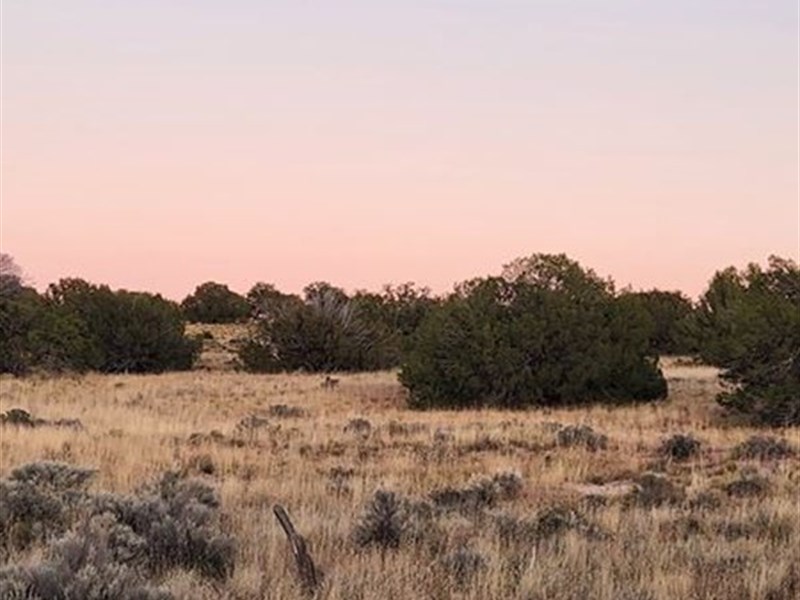 RV Friendly Lot Near Highway : Sanders : Apache County : Arizona
