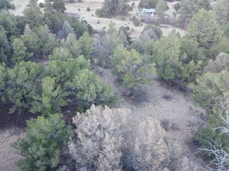 Head North to The Wet Mountains : Cotopaxi : Fremont County : Colorado