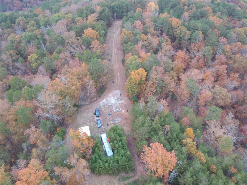 Mountain Top Property 13 Ac : Piedmont : Cleburne County : Alabama