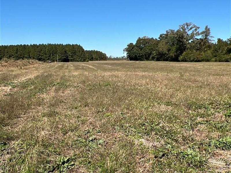 Land for Sale in Pinetown, NC : Pinetown : Beaufort County : North Carolina