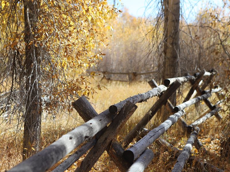 East Fork River Property : Challis : Custer County : Idaho