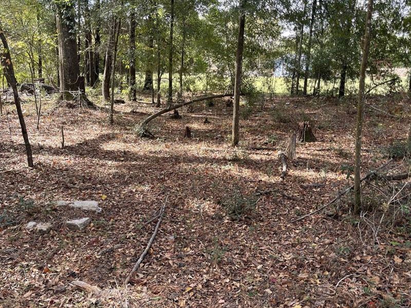 Commercial Lot for Sale : Eufaula : Barbour County : Alabama