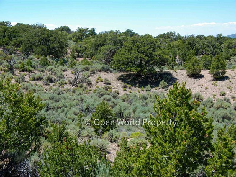 5 Acre Oasis : Fort Garland : Costilla County : Colorado