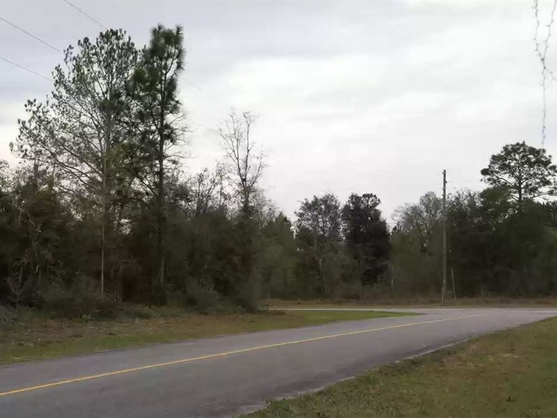.22 Ac for Sale in Sunny Hills, FL : Sunny Hills : Washington County : Florida