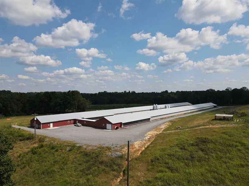 Road's End Farm : Cullman : Cullman County : Alabama
