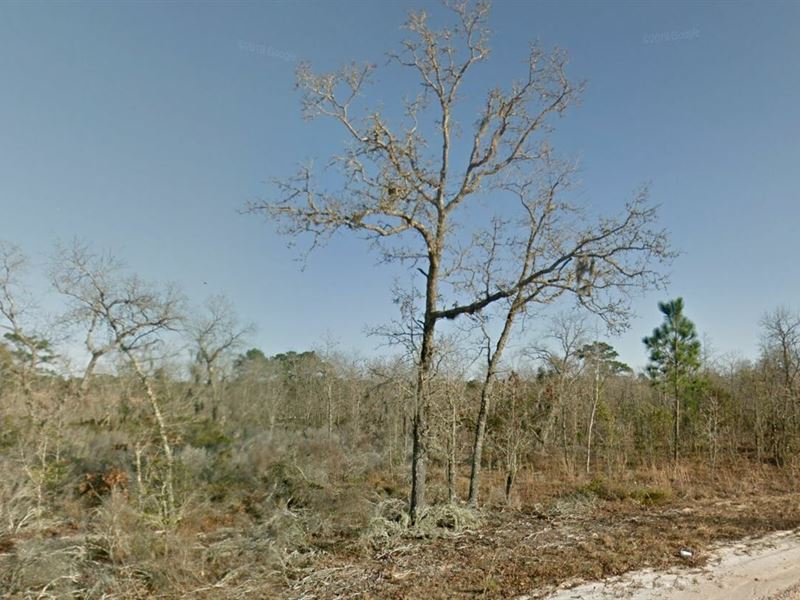 2 Lots for Sale in Interlachen, FL : Interlachen : Putnam County : Florida