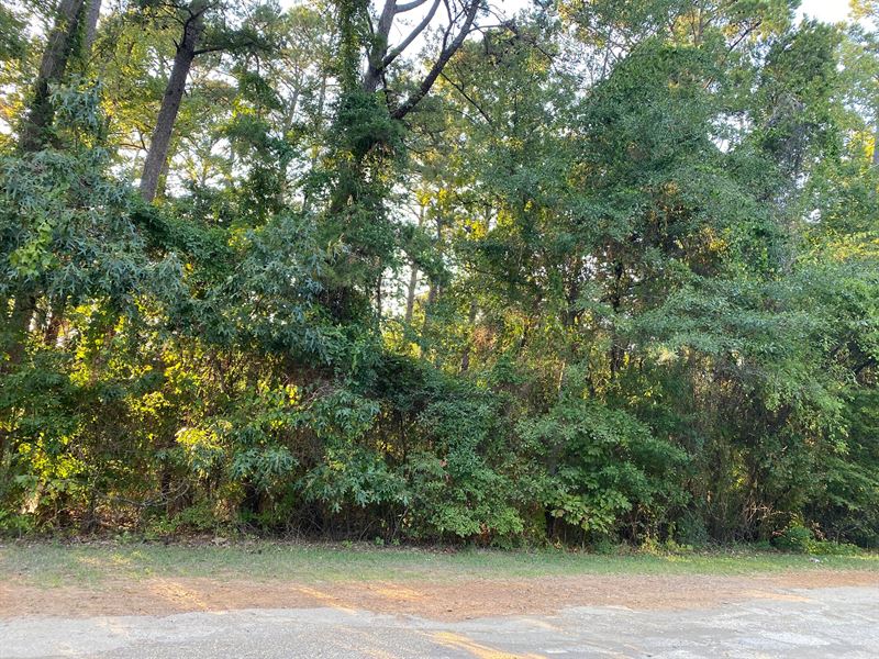 Lake O Pines Rec Lot, RV, Camping : Jefferson : Marion County : Texas