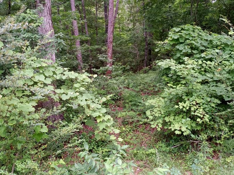 Lake O Pines Rec Lot, RV, Camping : Jefferson : Marion County : Texas