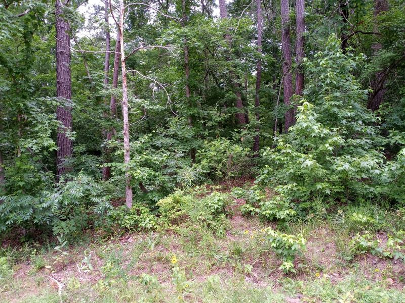 Lake O Pines Rec Lot, RV, Camping : Jefferson : Marion County : Texas