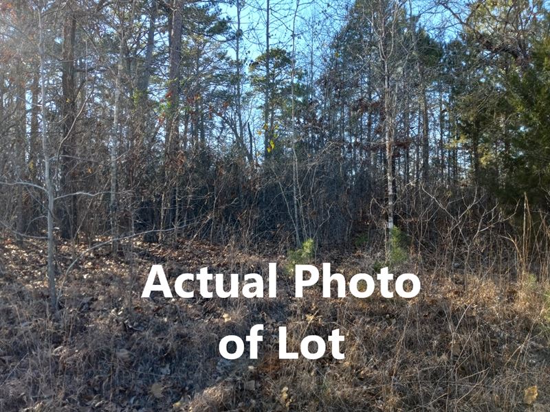Lake O Pines Rec Lot, RV, Camping : Jefferson : Marion County : Texas