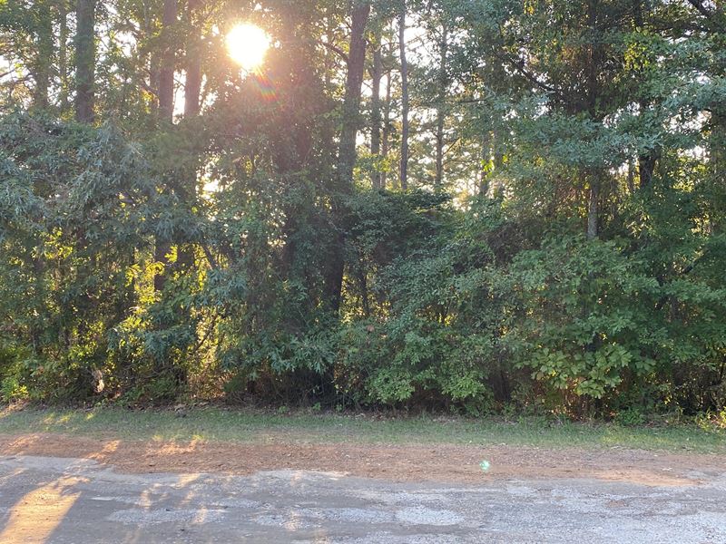 Lake O Pines Rec Lot, RV, Camping : Jefferson : Marion County : Texas