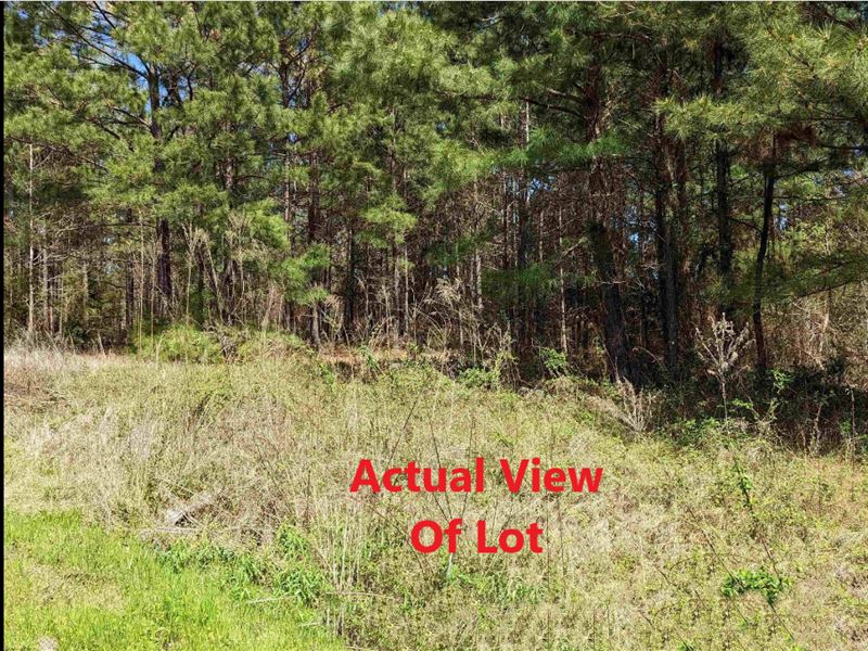 Clean Neighborhood, Lake O Pines : Avinger : Marion County : Texas