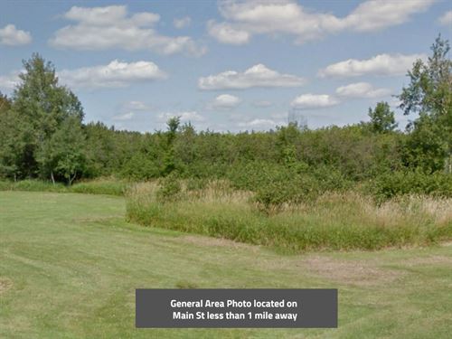 .17 Acre in Carlton County, MN : Barnum : Carlton County : Minnesota