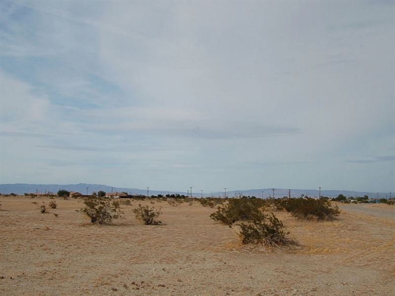 .23 Acre in Imperial County, CA : Salton City : Imperial County : California