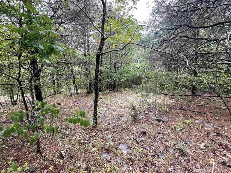 Great Opportunity for Investors : Poughkeepsie : Sharp County : Arkansas