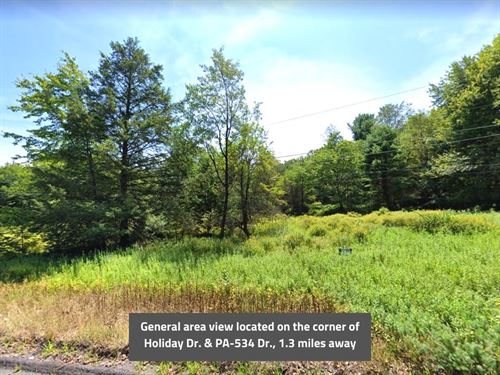 .781 Acre in Carbon County, PA : Albrightsville : Carbon County : Pennsylvania