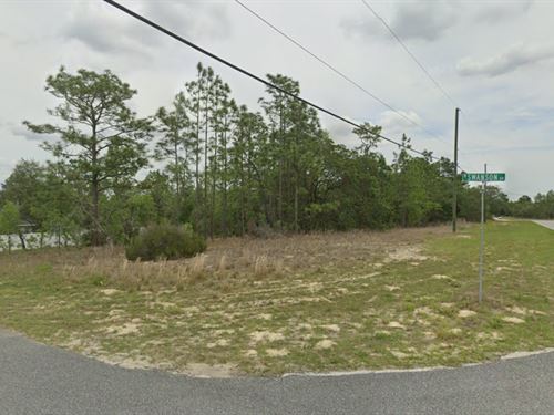 Corner Lot NO Down Payment Required : Citrus Springs : Citrus County : Florida