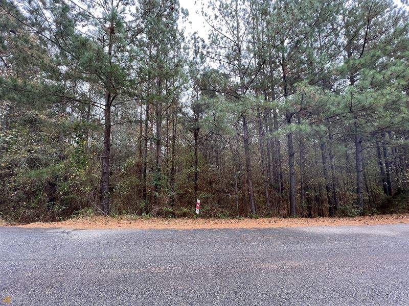 Grand Lot on Grandview : Mansfield : Jasper County : Georgia