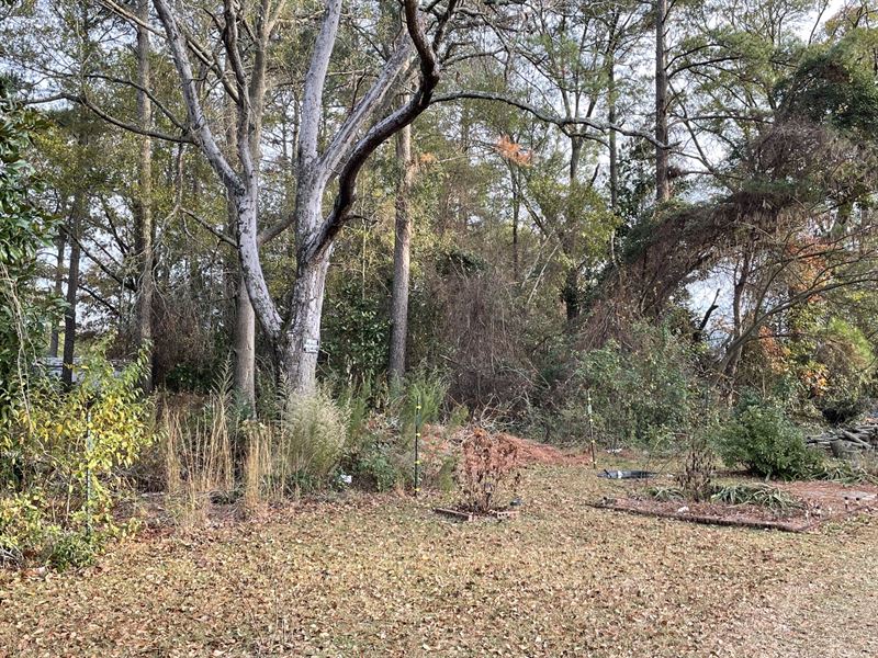 Great Mobile Home Friendly Lot : Salemburg : Sampson County : North Carolina
