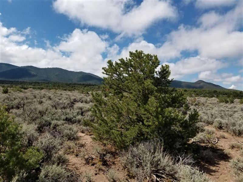 Best 5 Acres in CO Only $349 : San Luis : Costilla County : Colorado