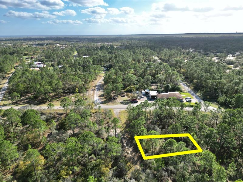 .21 Acre Lot Near Grassy Lake : Lake Placid : Highlands County : Florida