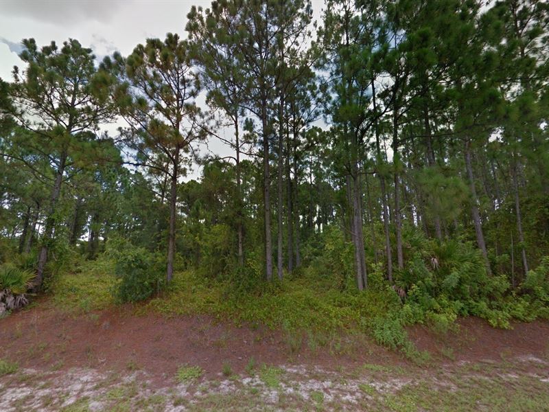 Offers Rich Cultural Experience : Lehigh Acres : Lee County : Florida