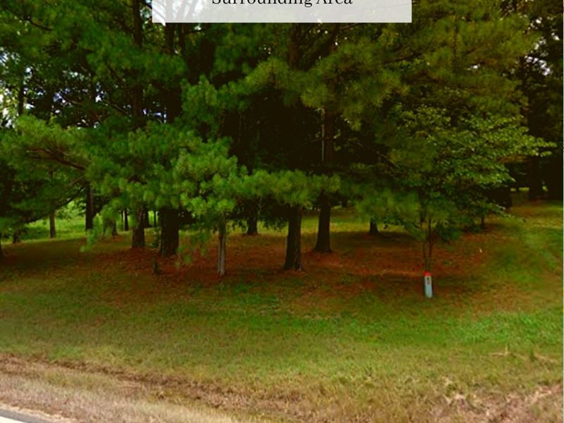 .49 Acre Only $1 Down, $399/Mo : Saulsbury : Hardeman County : Tennessee