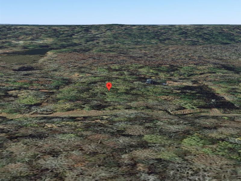 .14 Acre Hillside Property in TX : Woodville : Tyler County : Texas