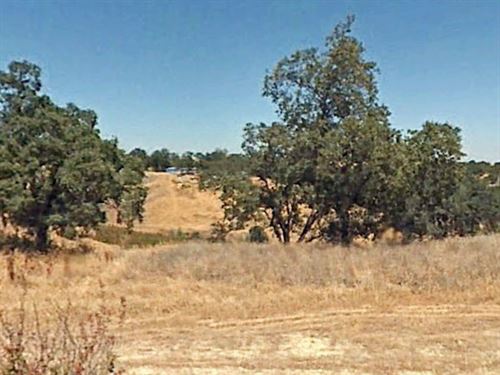 1.01 Acres in Tehama County, CA : Corning : Tehama County : California
