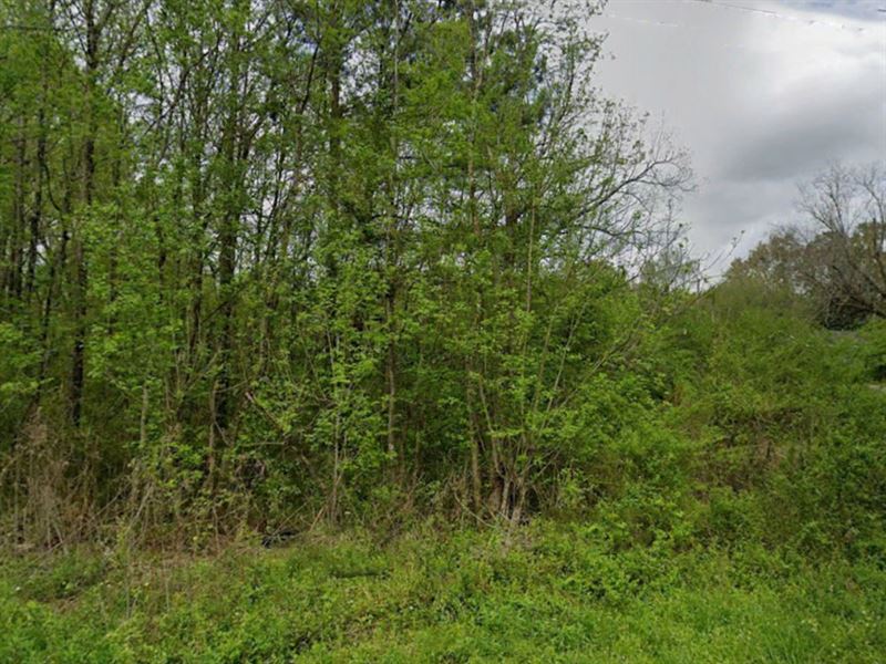 .40 Acre in Talladega County, AL : Talladega : Talladega County : Alabama