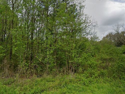 .40 Acre in Talladega County, AL : Talladega : Alabama