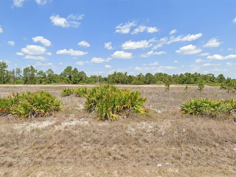 Make Life Whatever You Want To Be : Lehigh Acres : Lee County : Florida