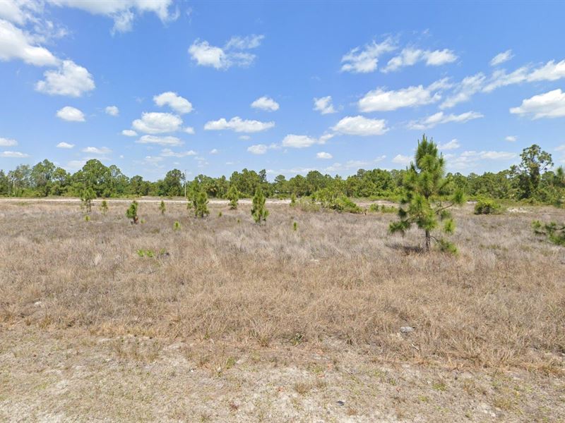 Build The Home Of Your Dreams : Lehigh Acres : Lee County : Florida
