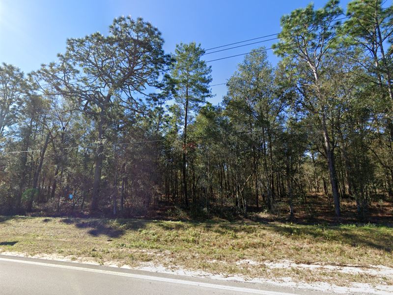 $127/Mo with RV Living Allowed : Interlachen : Putnam County : Florida