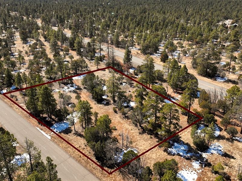 Amazing Acreage in Happy Jack : Happy Jack : Coconino County : Arizona