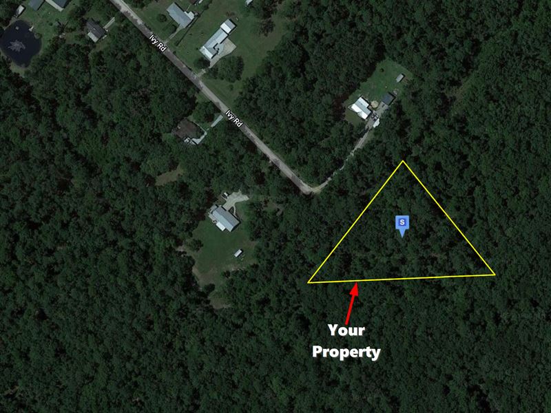 $298/Mo, Crown of The Cul-De-Sac : San Mateo : Putnam County : Florida