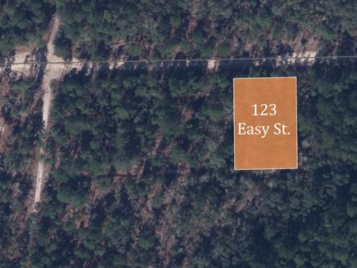 123 Easy Street Awaits : Florahome : Putnam County : Florida