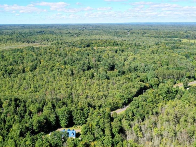 Mostly Wooded Lot for a Home : Hastings : Oswego County : New York