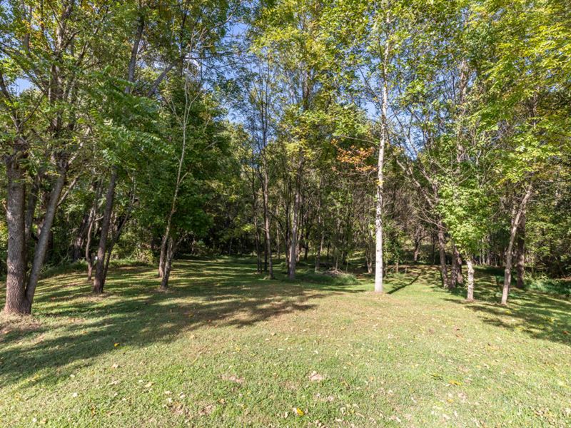 Lot Near Nottely River : Murphy : Cherokee County : North Carolina