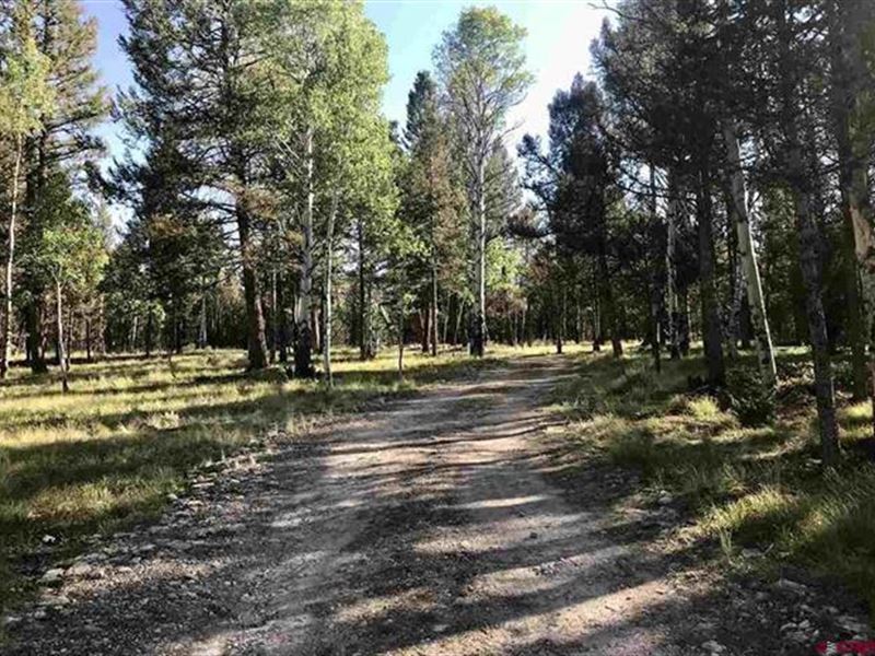Prime Lot with Utilities : Powderhorn : Delta County : Colorado