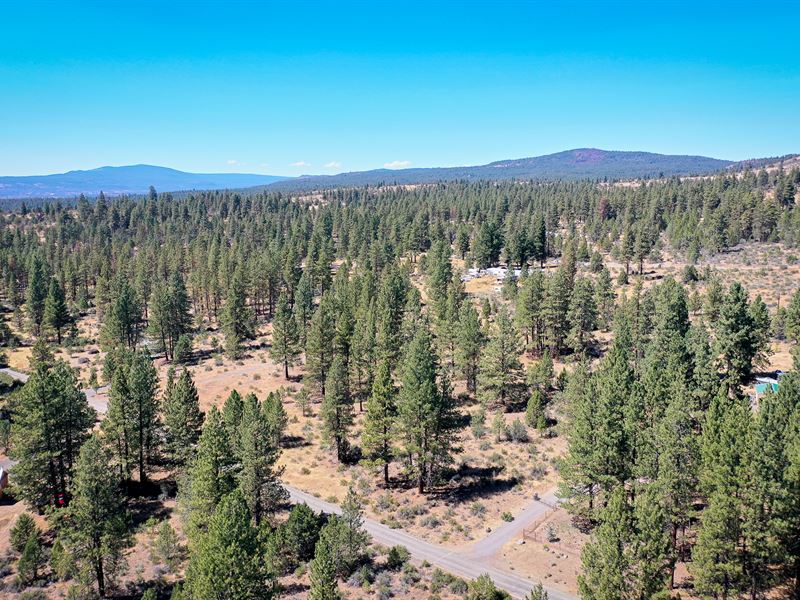2.03 Acre Level, Buildable Getaway : Bonanza : Klamath County : Oregon
